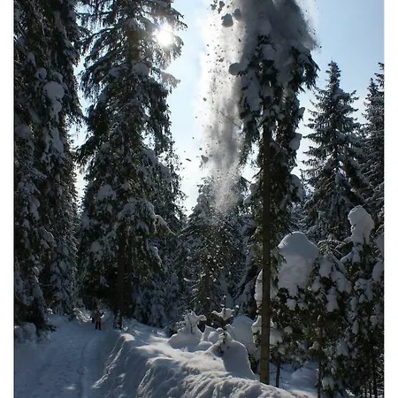 Stadraj * Bukowina Tatrzańska