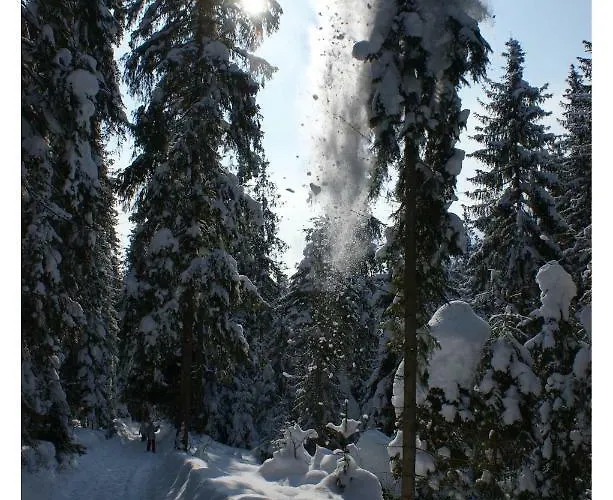 Stadraj * ブコビナ・タトシャンスカ